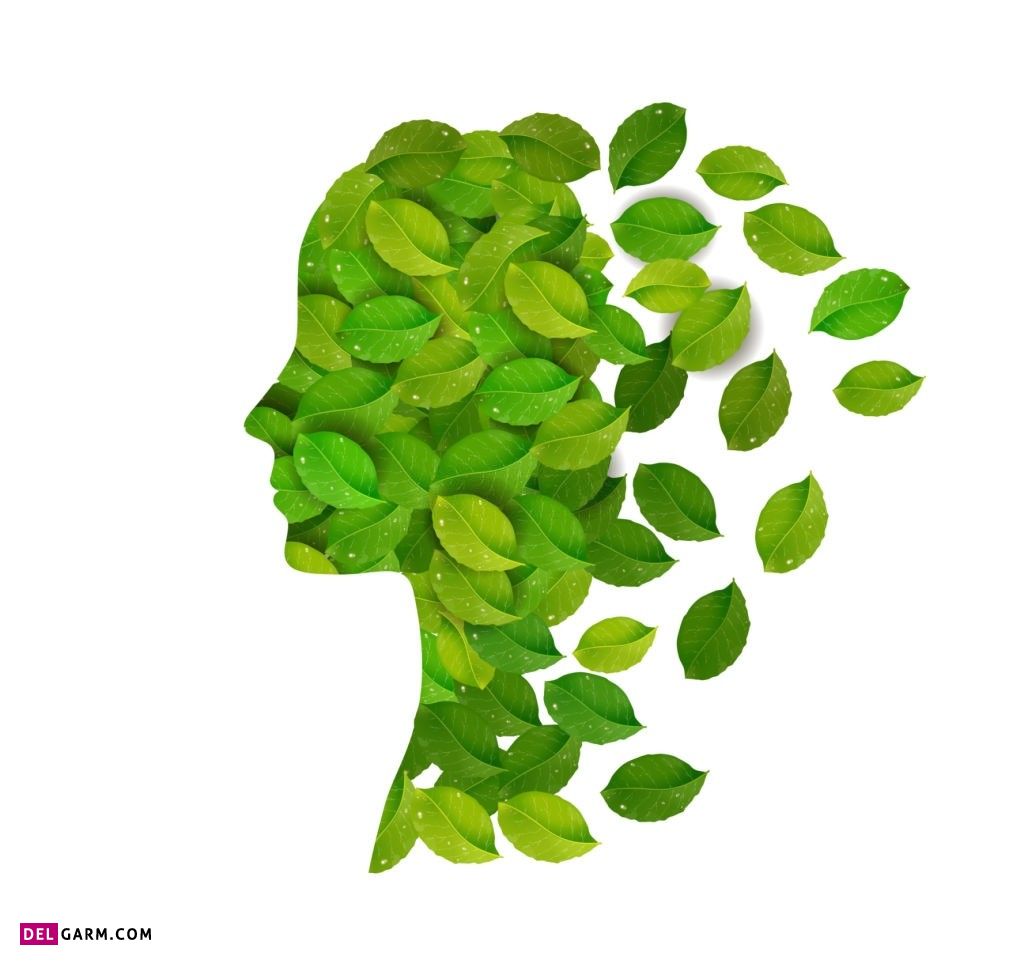 عکس گل برای پروفایل واتساپ