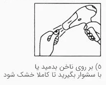 2 روش استفاده از لنز ناخن روی لاک معمولی و لاک ژل