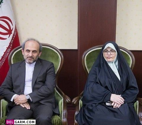 بیوگرافی پیمان جبلی