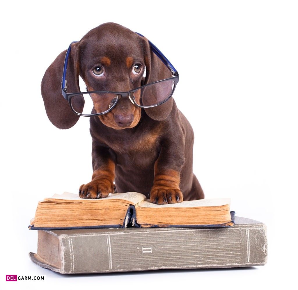 عکس پروفایل برای گروه مدرسه پسرانه