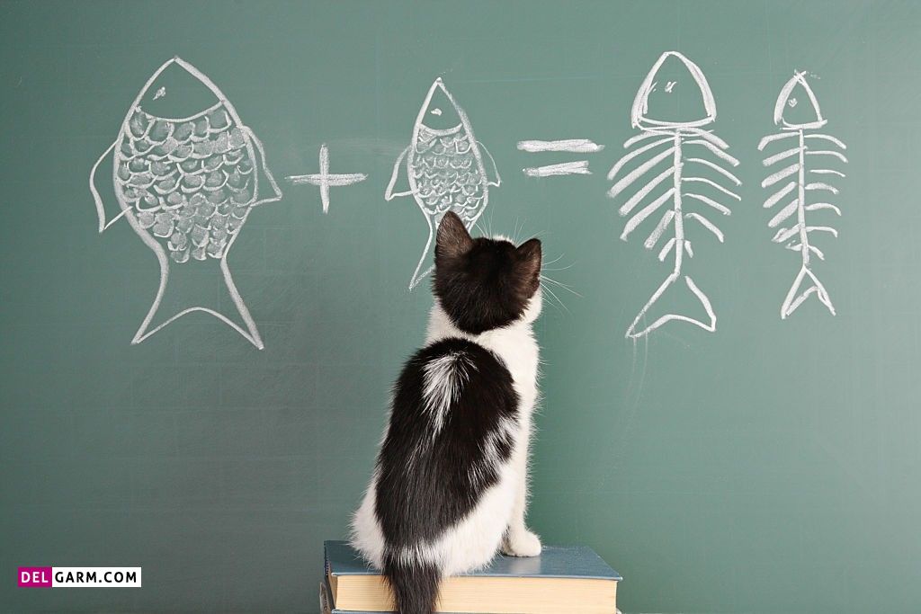 عکس پروفایل برای گروه مدرسه پسرانه