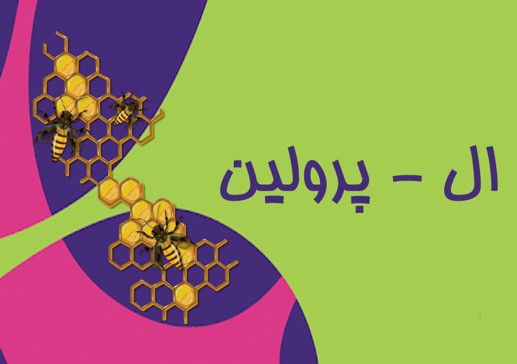 آشنایی با اسید آمینه ال پرولین عسل