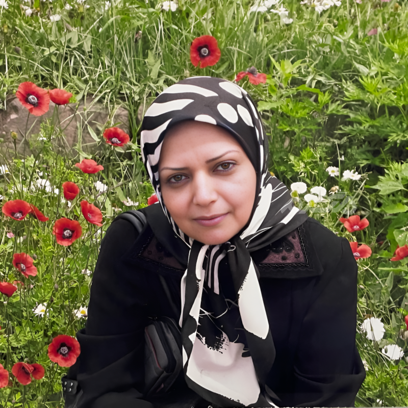 ماشین الهه رضایی