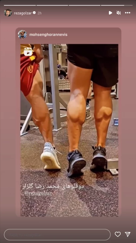 خبر جدید / گلزار از دوقلوهایش رونمایی کرد !!
