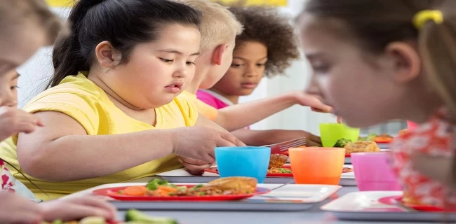 عادت غذایی بد یکی از مهم ترین علل چاقی در کودکان است.