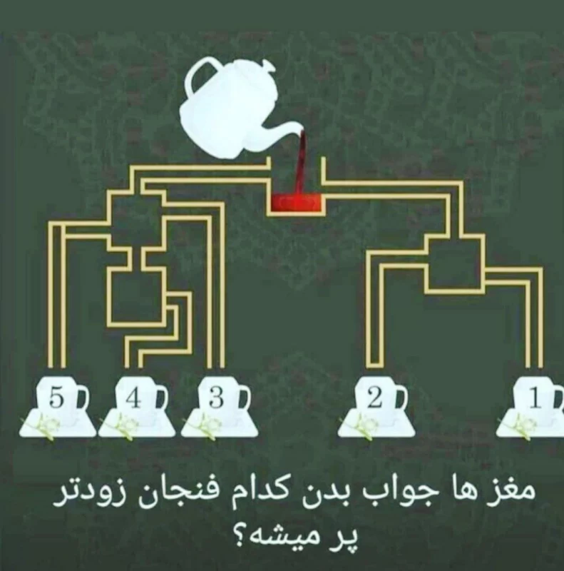 کدوم فنجون زودتر پر میشه ؟ 90 درصد اشتباه گفتن !!