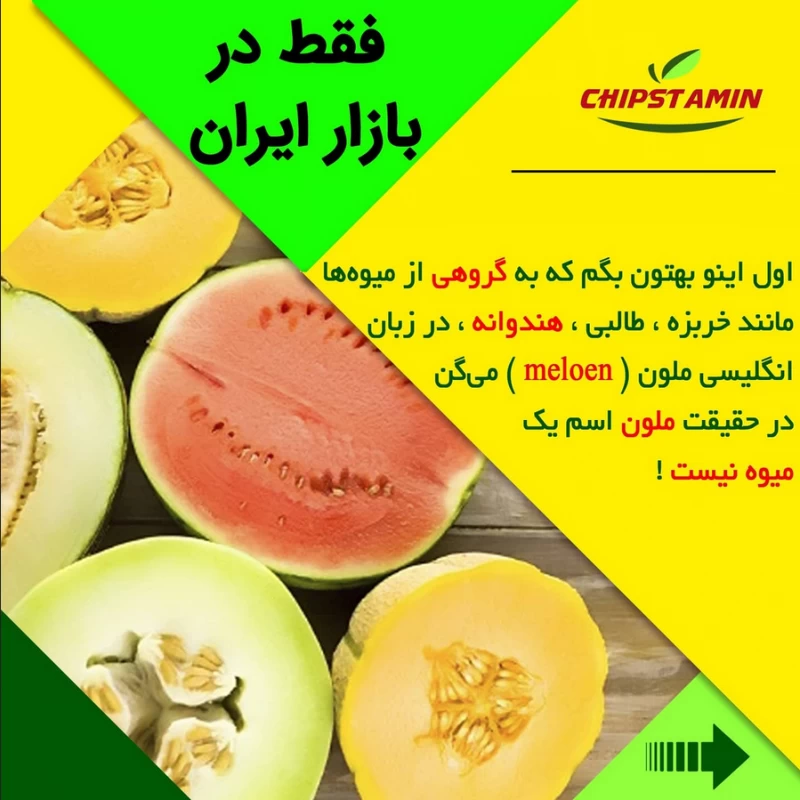 یک بار برای همیشه طالبی،سمسوری،ملون و گرمک را از هم تشخیص بده !!