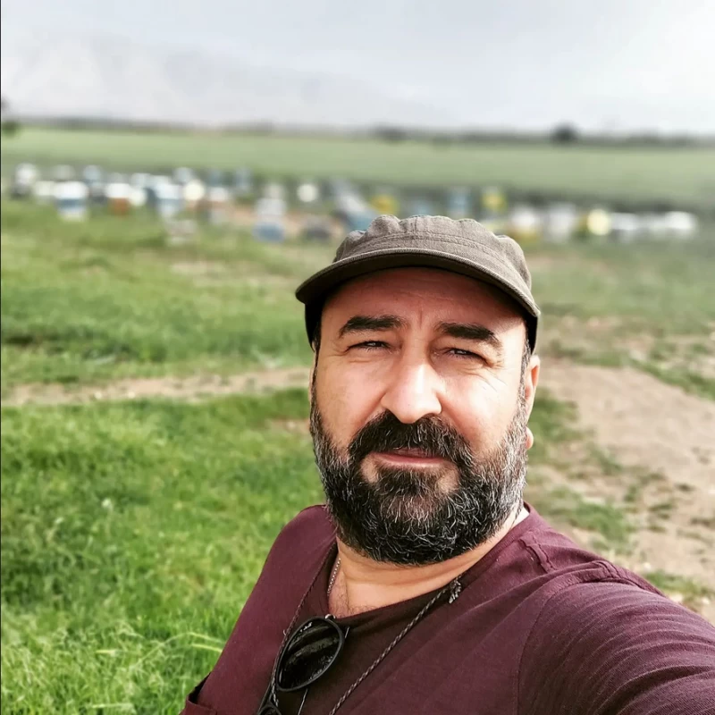 مهران احمدی بازیگر پایتخت