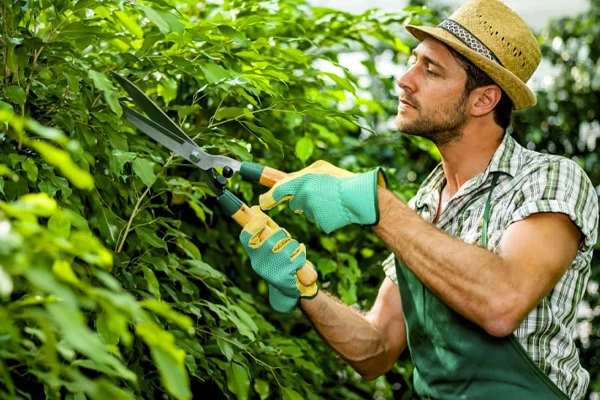 اصول باغداری؛ مهمترین نکات در باغداری حرفه ای