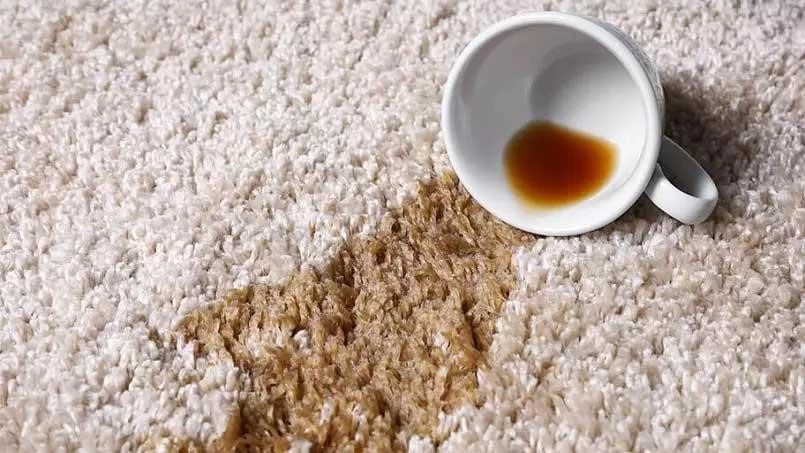 4 روش ساده برای پاک کردن لکه‌های مختلف از روی فرش