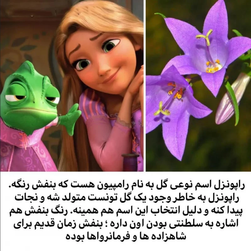 معنی اسم راپونزل
