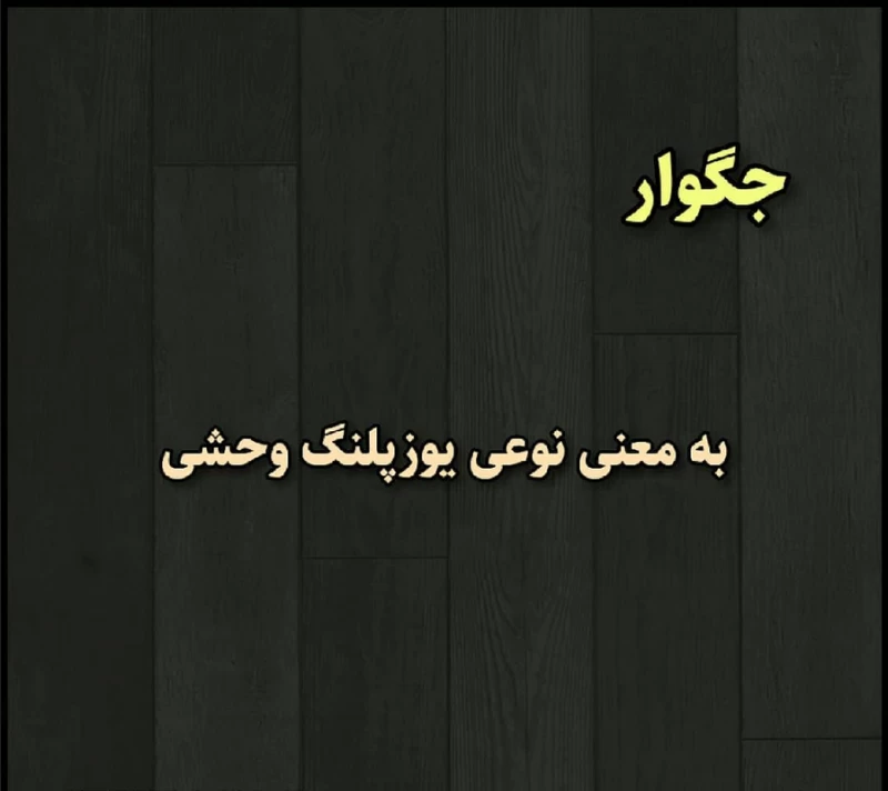 معنی اسم هر ماشین رو بلدی ؟