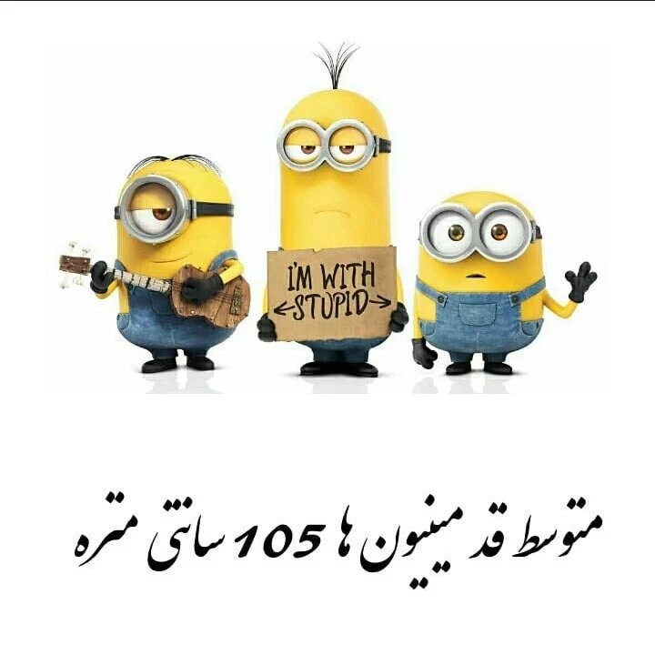 مینیون ها با این قد ریزه میزشون چه اسراری دارن...
