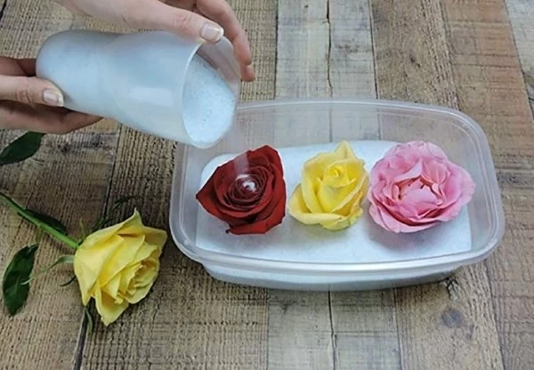 خشک کردن باکس گل با نمک