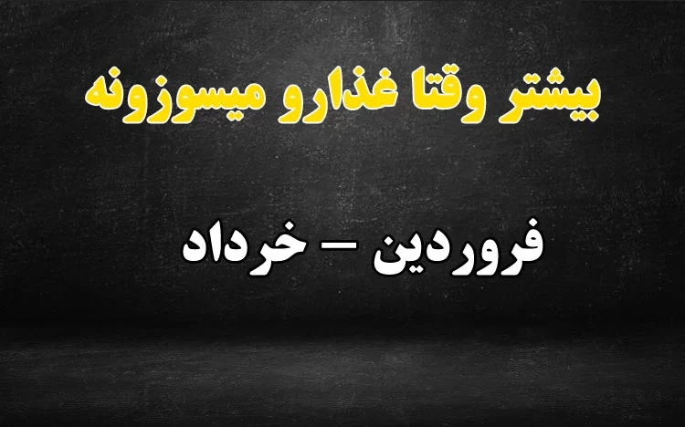 متولدین کدوم ماه توی آشپزی بهترینن ؟!