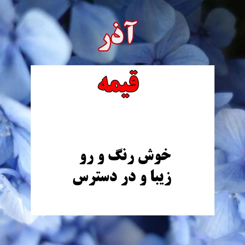 غذای متولدین آذر