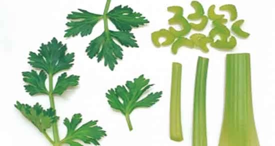 سبزی خورش کرفس شامل چه سبزی هایی میشود ؟
