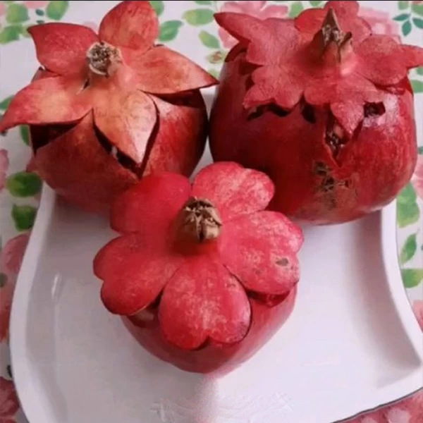  عکس انار تزیین شده