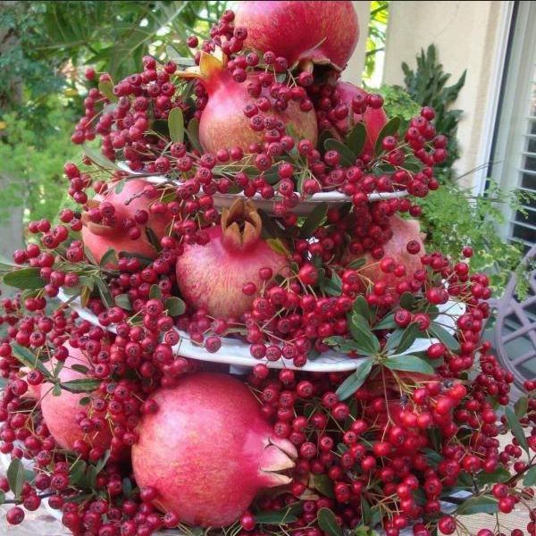  عکس انار تزیین شده