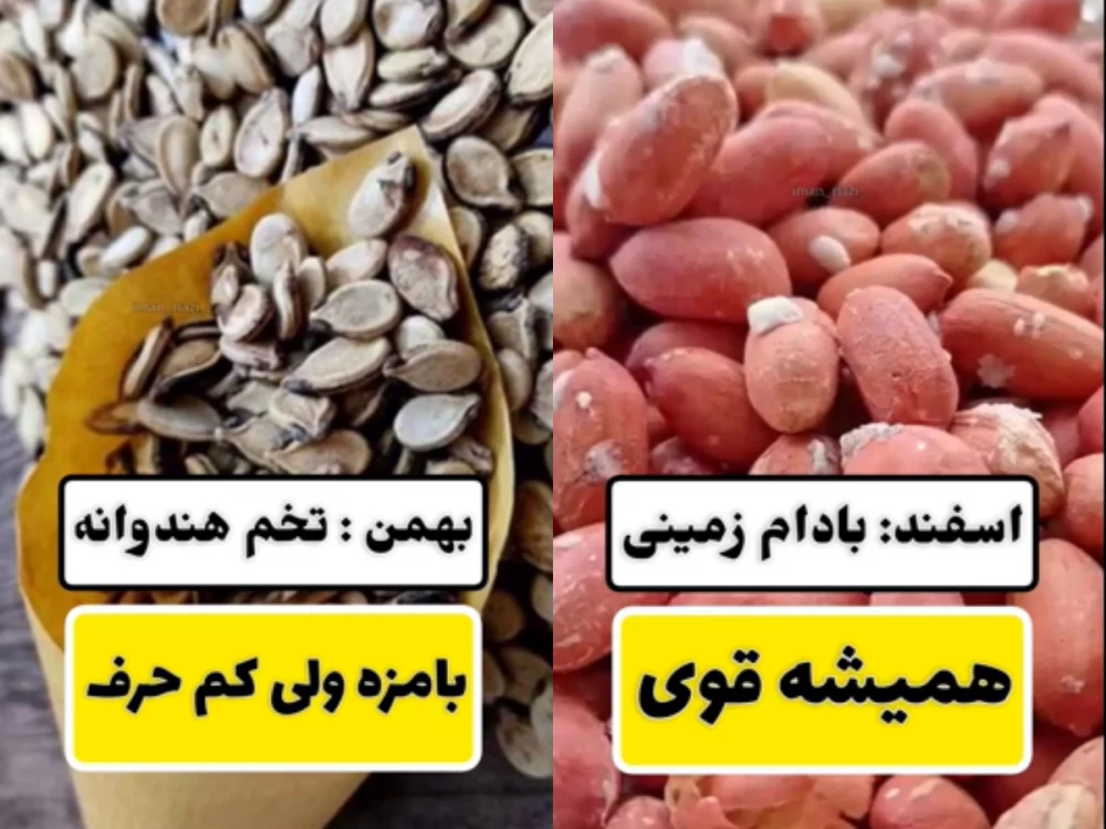 آجیل ماه تولد تو چیه ؟ 