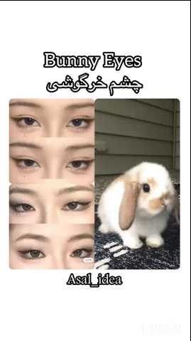 فرم چشم شما چه شکلیه / گربه ای ،خرگوشی یا ... ؟!