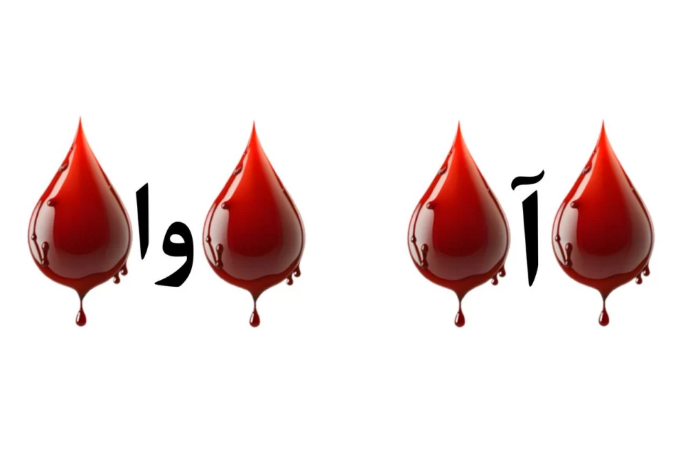 من که مغزم درد گرفت / شما فهمیدی چی نوشته ؟