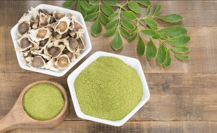 نحوه مصرف مورینگا برای استفاده از نهایت خواص این گیاه !