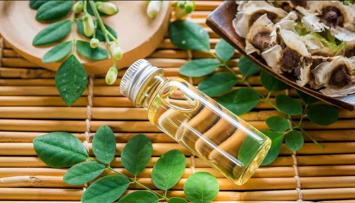 نحوه مصرف مورینگا برای استفاده از نهایت خواص این گیاه !