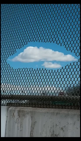 این بانوی هنرمند با خطای دید نقاشی آثار بینظیری خلق کرده !