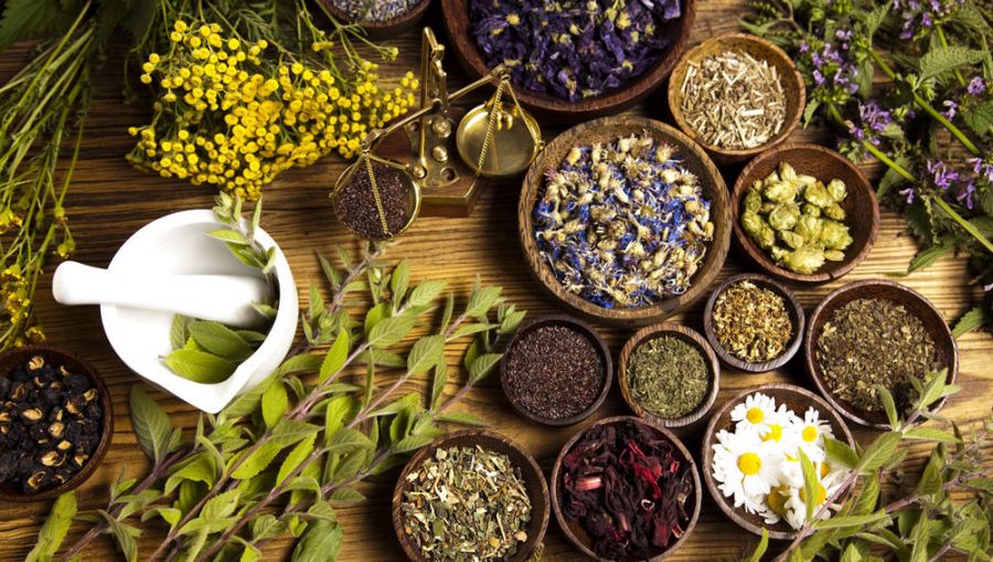گرده لیوه : خواص دارویی و درمانی گیاه گرده لیوه