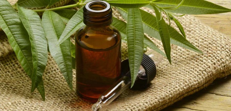 نحوه استفاده از روغن درخت چای برای درمان جوش و آکنه