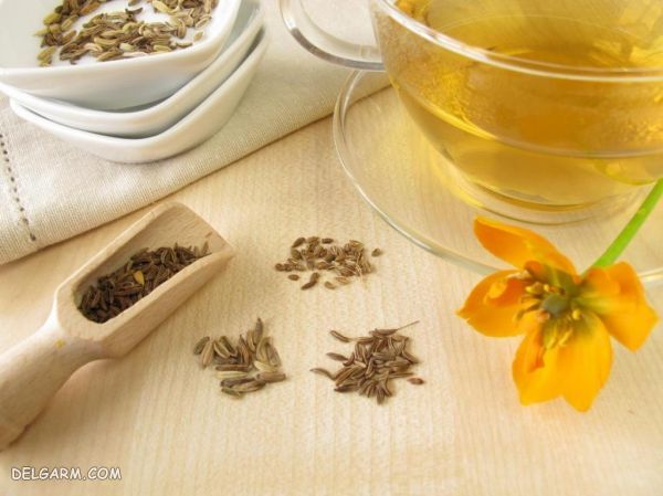 چای رازیانه