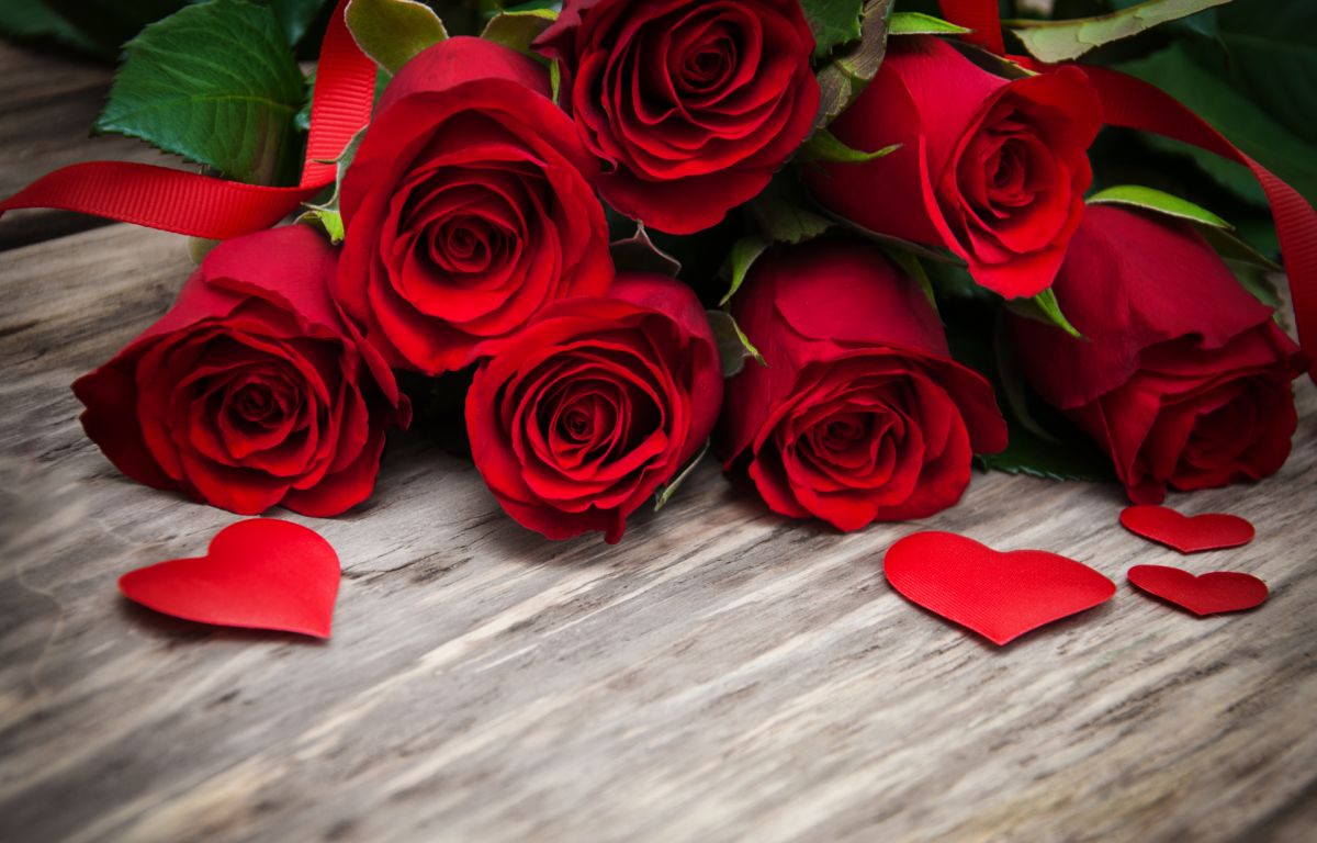 آشنایی با ۱۳ رنگ مختلف گل رز