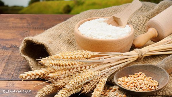 تاریخ مصرف آرد گندم / از کجا بفهمیم آرد خراب شده ؟ / آیا آرد خراب می شود / ایا ارد برنج خراب میشود / ایا ارد گندم خراب میشود