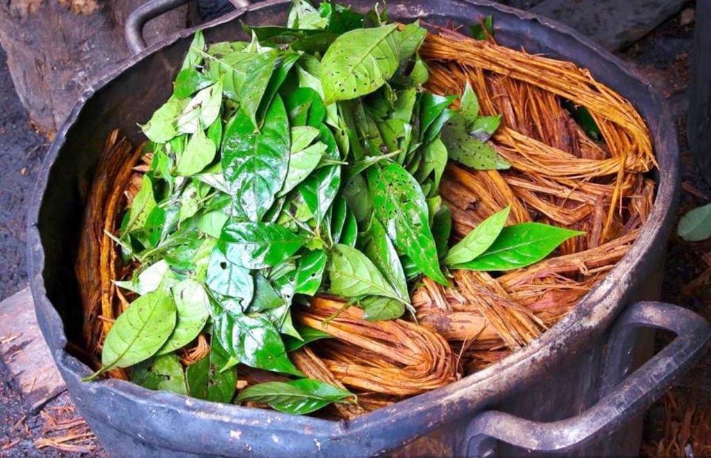 آشنایی با آیاهواسکا (ayahuasca) یکی از روانگردان های سنتی