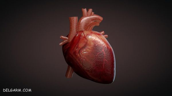 جلوگیری از نارسایی قلبی بعد از حمله قلبی