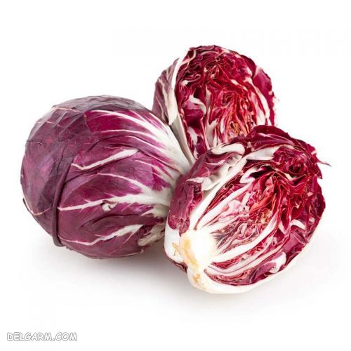 chicory Palla Rossa | کاسنی قرمز