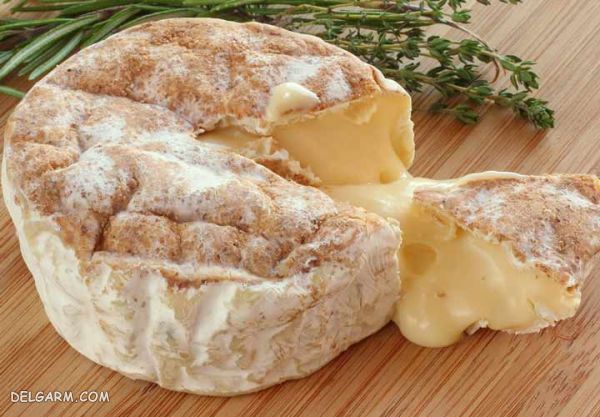 بهترین پنیر های دنیا | بهترین پنیر خوراکی برای مصرف روزانه