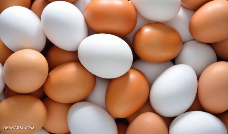 تخم مرغ برای افزایش وزن جنین