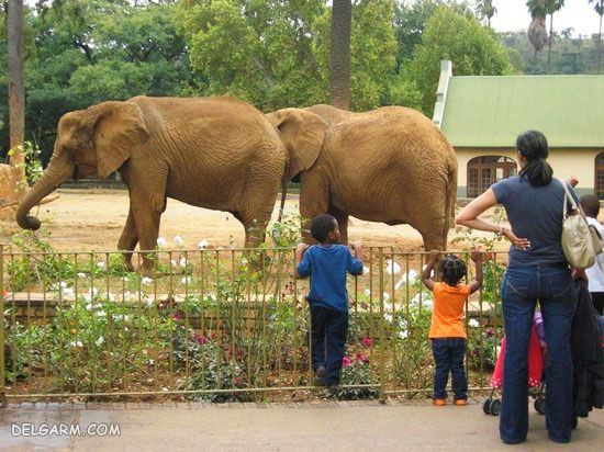 بزرگترین باغ وحش های دنیا