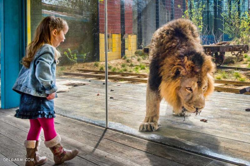 10 باغ وحش از بزرگترین باغ وحش های دنیا