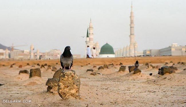 دلیل پنهان ماندن قبر حضرت فاطمه