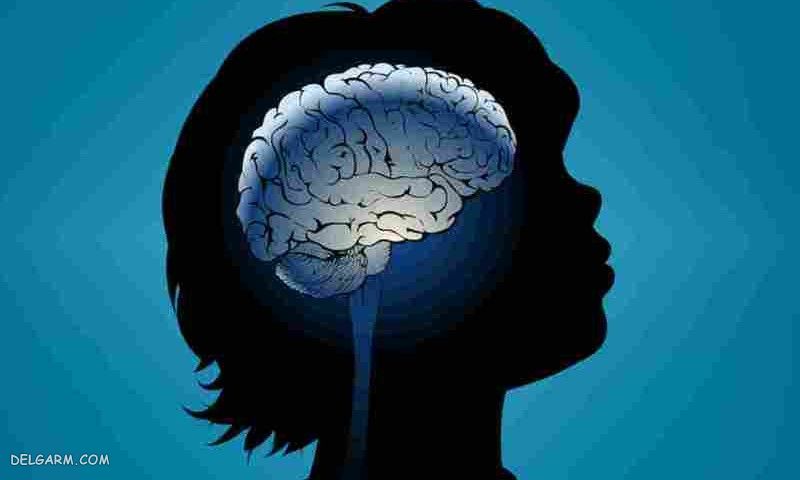 ساختار مغز نوجوانان چگونه است؟