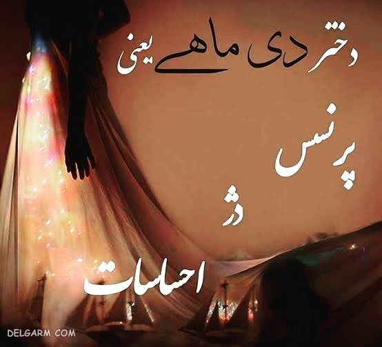عکس آغاز حکومت دی ماهی ها / پروفایل حکومت دی ماهی ها / عکس آغاز پادشاهی دی ماهی