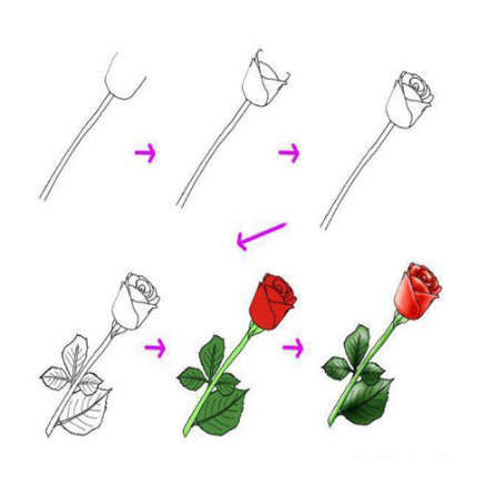 نقاشی گل / نقاشی گل یاس / نقاشی گل برای حاشیه / نقاشی گل محمدی / نقاشی و رنگ آمیزی گل