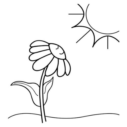 نقاشی گل / نقاشی گل یاس / نقاشی گل برای حاشیه / نقاشی گل محمدی / نقاشی و رنگ آمیزی گل