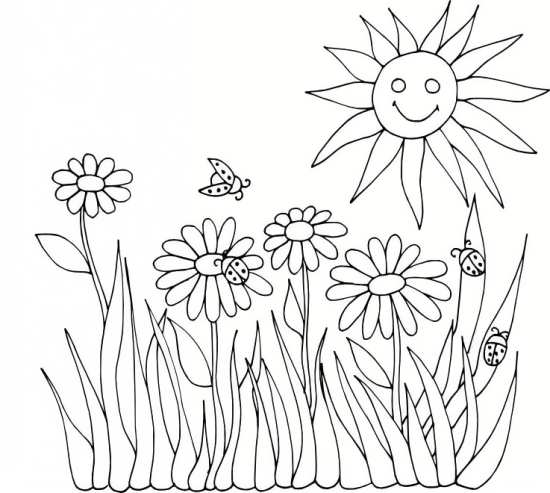 نقاشی گل / نقاشی گل یاس / نقاشی گل برای حاشیه / نقاشی گل محمدی / نقاشی و رنگ آمیزی گل