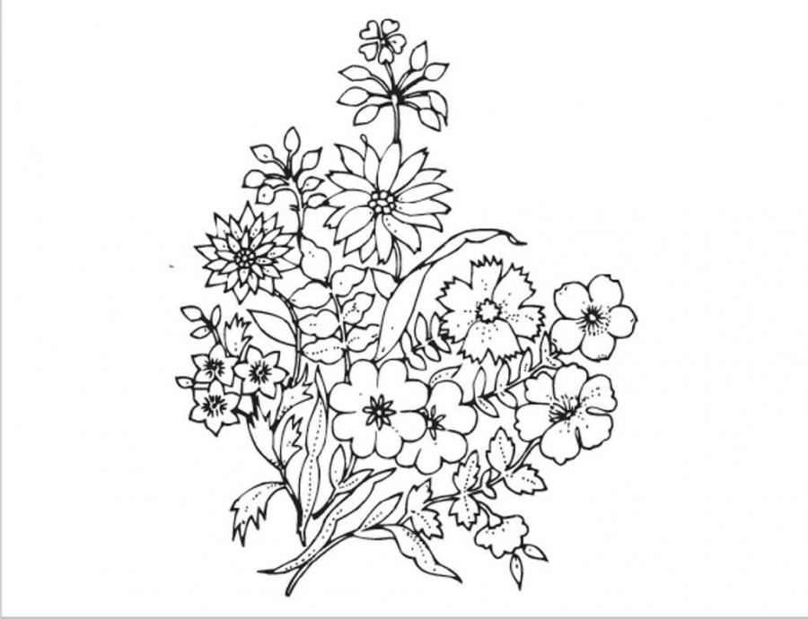 نقاشی گل / نقاشی گل یاس / نقاشی گل برای حاشیه / نقاشی گل محمدی / نقاشی و رنگ آمیزی گل