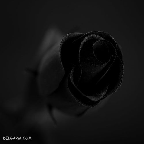 عکس سیاه ساده