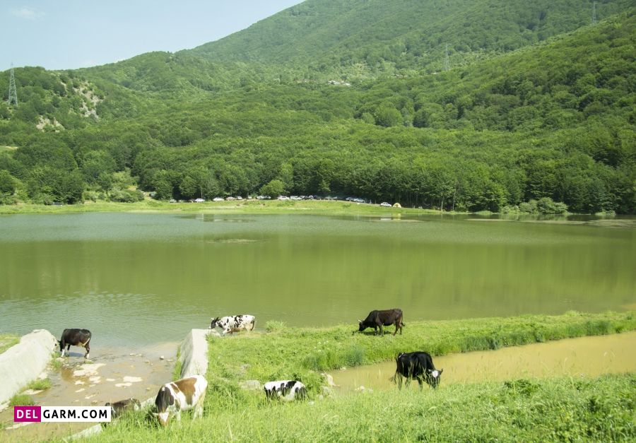 دریاچه یسان کجاست